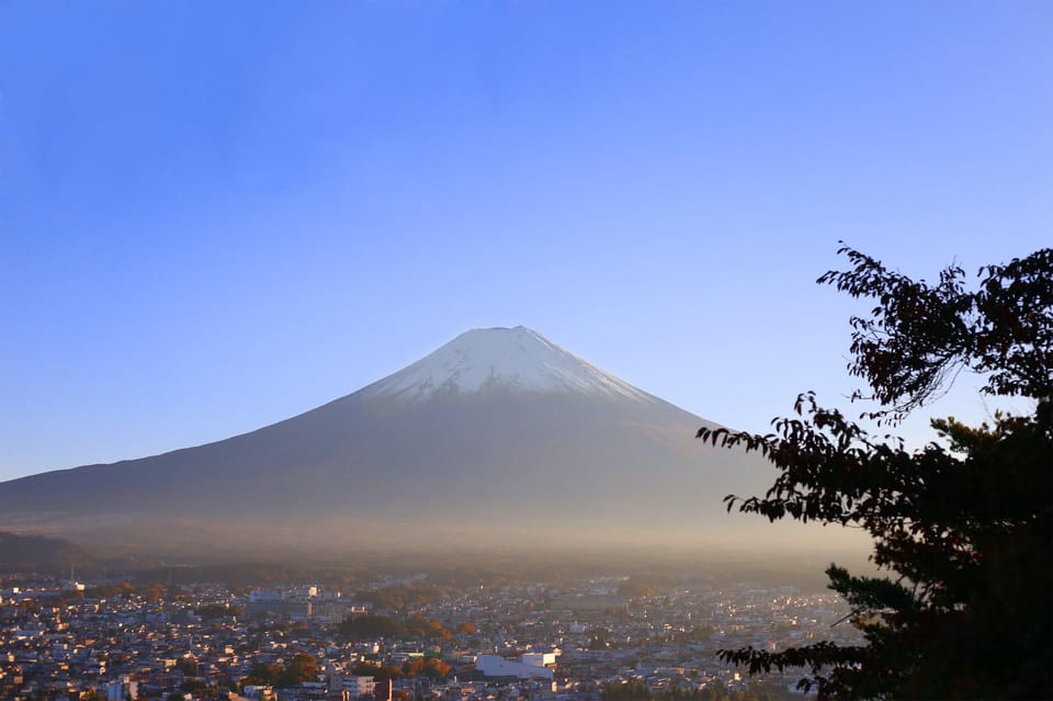 Mount Fuji and Hakone Full Day Private Tour - Pricing and Discounts