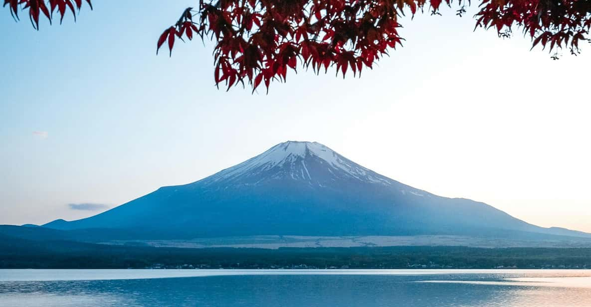 Mount Fuji and Hakone Private Tour English Speaking Driver - Inclusions and Amenities