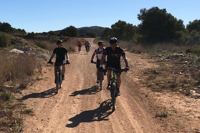 Mountain Bike Tour Font De La Mata - Start Time