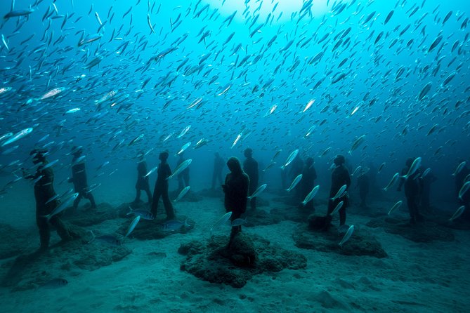 Museo Atlantico Diving Tour From Playa Blanca - Tour Capacity and Cancellation