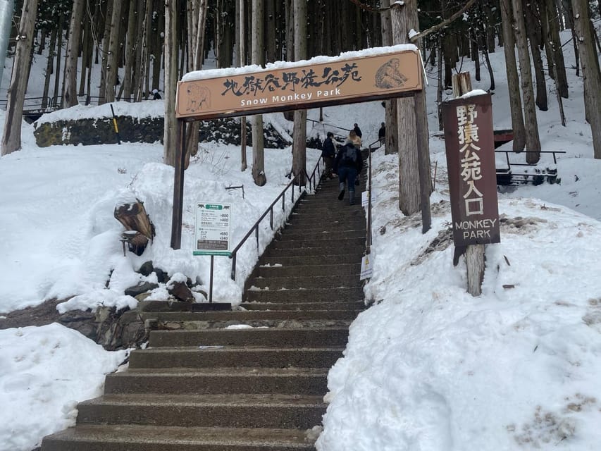 Nagano: Snow Monkey Park, Zenkoji One Day Private Tour - Preparation and Important Information