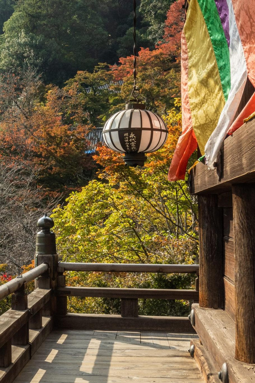 Nara Day Tour From Osaka - Accessibility and Restrictions