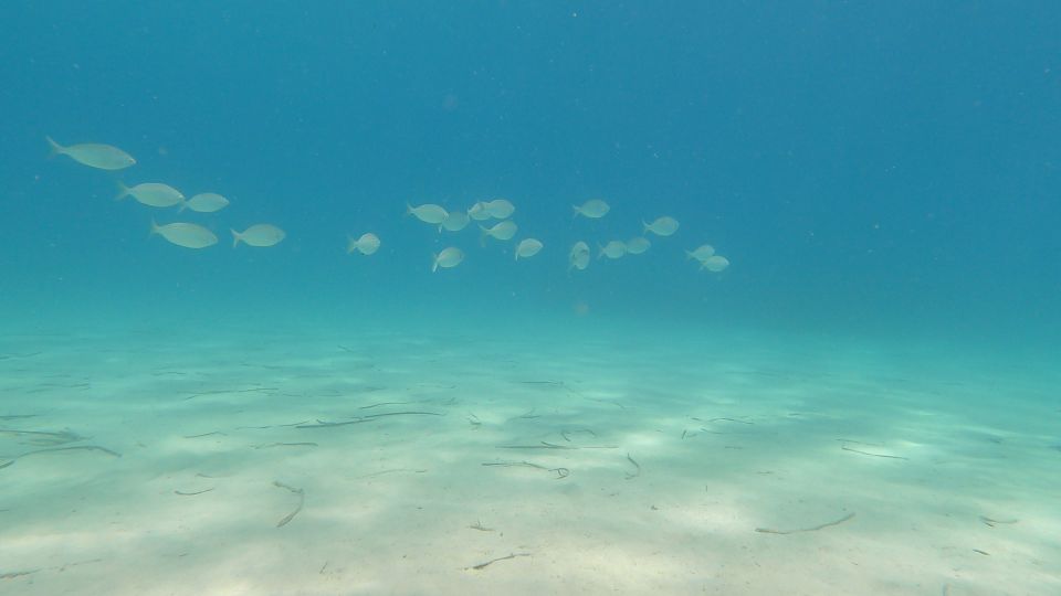 Naxos: Discover Scuba Diving on Agios Georgios Beach - Dive Site Location