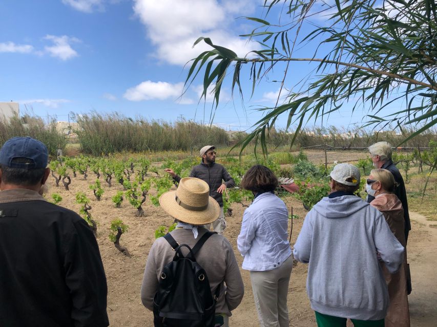 Naxos: Wine & Culture Tour - Included Activities