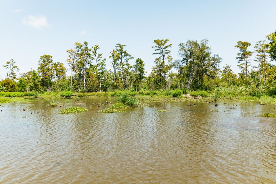 New Orleans: Bayou Tour in Jean Lafitte National Park - Customer Reviews