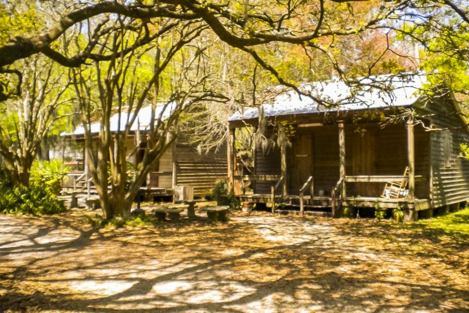 New Orleans: Destrehan Plantation & Swamp Combo - Spotting Native Swamp Wildlife