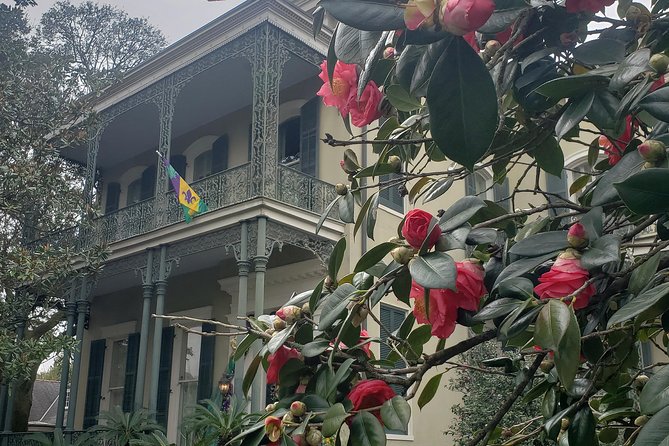 New Orleans Garden District Walking Tour Including Lafayette Cemetery No. 1 - Customer Reviews and Feedback