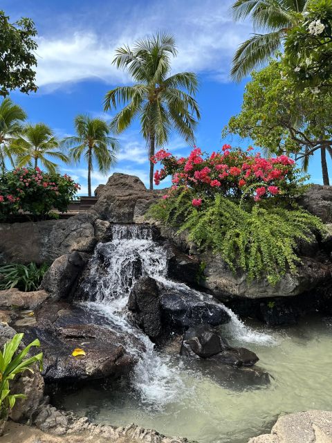 Oahu: Highlights of Oahu Small Group Tour - Customer Reviews and Ratings