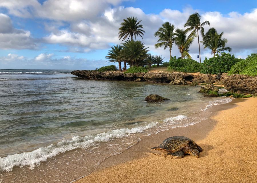 Oahu: Sunrise & Full-Day Island Photo Tour With Small Group - Inclusions and Exclusions