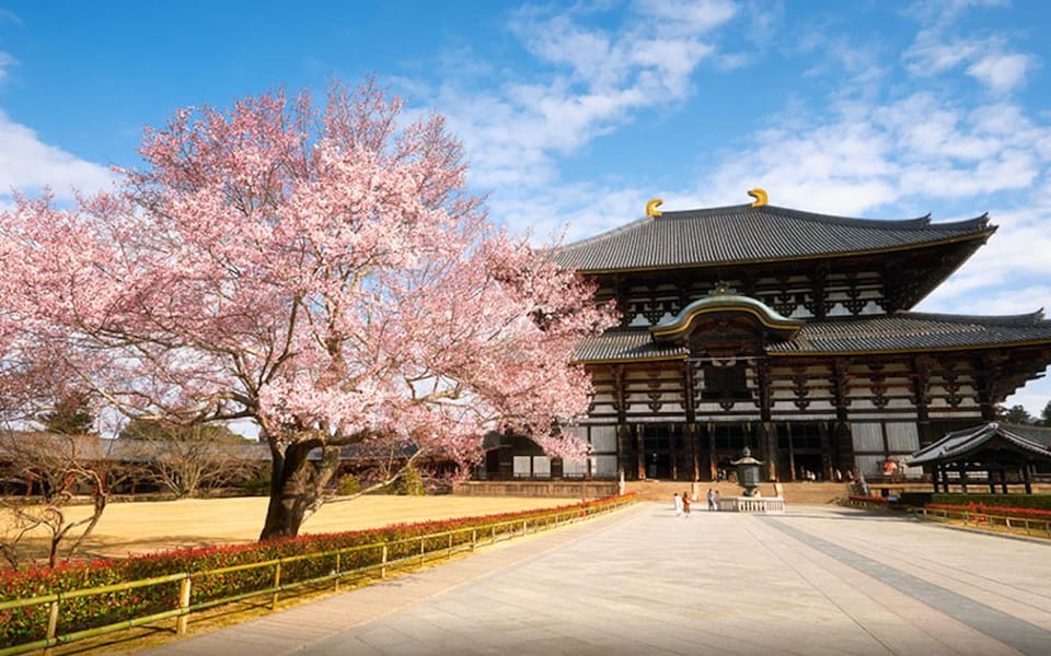 One Day Private Customized Self-Guided Tour in Nara - Luggage Capacity