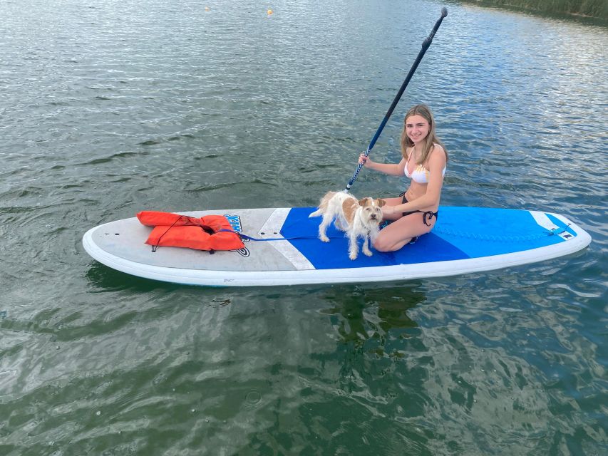 Orlando: Paddle With Pups in Paradise - Paddleboard or Kayak - Relaxing and Calm Paddling Experience