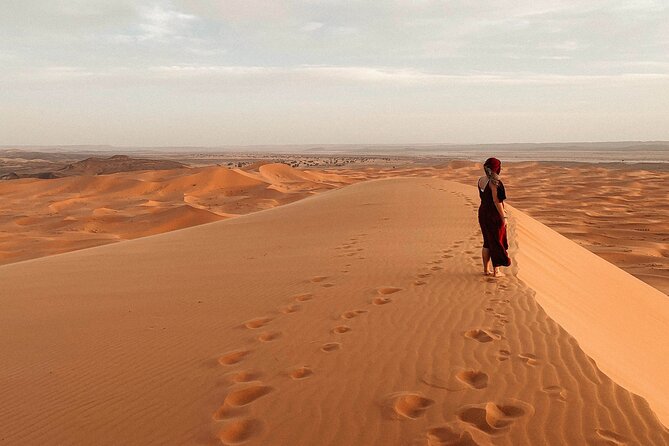 Overnight Tour From Fes to Sahara Desert - Accessibility