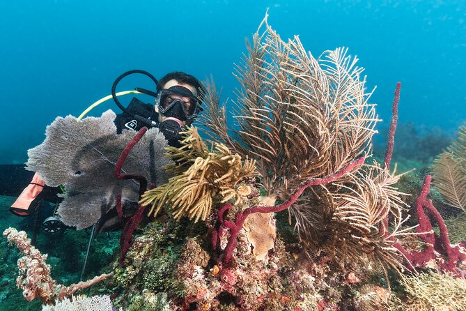 PADI Discover Scuba Diving Course in Bayahibe - Preparing for the Course