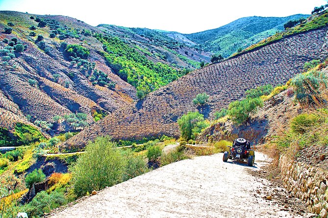 Panoramic Buggy Tour From Malaga - Driver Requirements