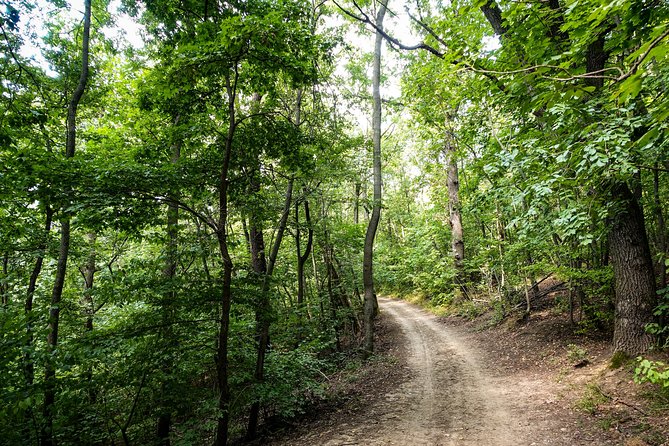 Panoramic Hike Around Budapest - Moderate Fitness Level Required