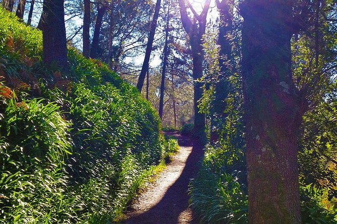 Paradise Valley - Levada Walk - Madeiran Villages