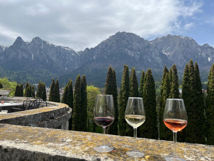 Peles & Cantacuzino Castles: Gourmet Wine & Cultural Trip - Wine Tasting Experience