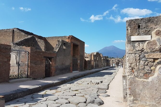 Pompeii, Herculaneum and Wine Tasting From Naples - Group Size