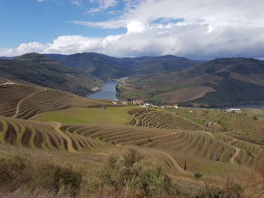 Porto: 3 Douro Valley Vineyards Tour With Lunch - Scenic Douro Valley