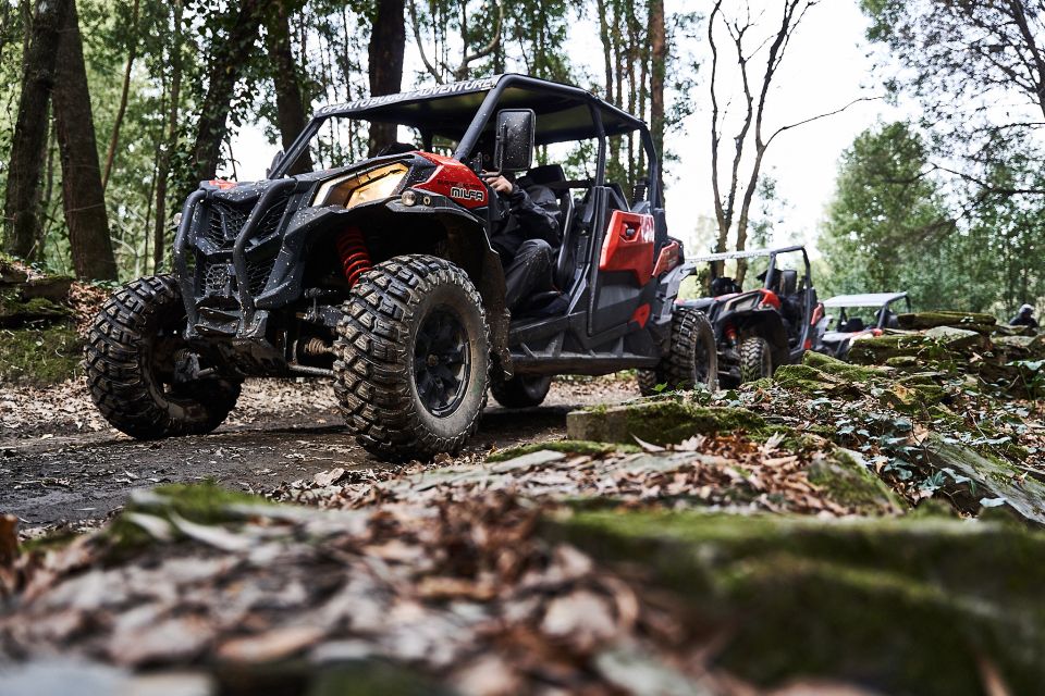 Porto: Extreme Tour by Oporto Buggy - Customer Reviews