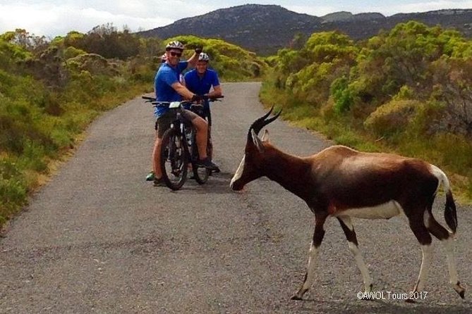 Private Cycling Tour of the Cape Peninsula From Cape Town - Guest Reviews