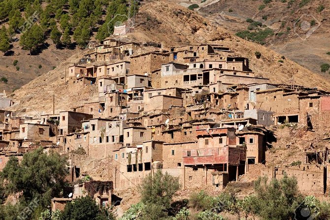 Private Day Trip From Marrakech to Ourika Valley - Professional Driver and Local Guide