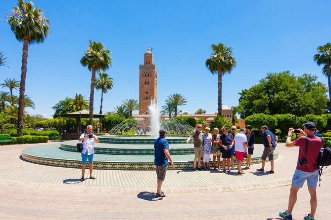 Private Driver for a Full Day in Marrakech - Driver Qualifications