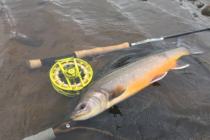 Private Fishing Tour From Reykjavik - Arctic Char and Brown Trout - Price Variations Based on Group Size