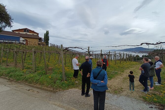 Private Half Day Txakoli Wine Tour & Getaria Fishing Village - Guest Experiences and Feedback