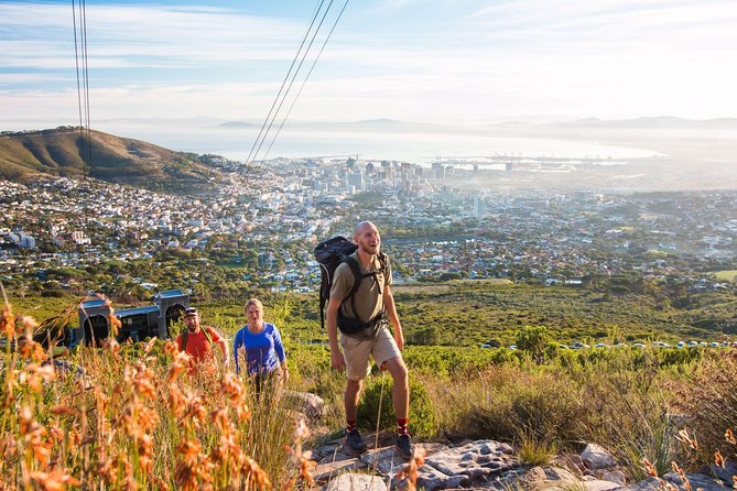 Private Hiking Tour of Table Mountain - Panoramic Views of Cape Town