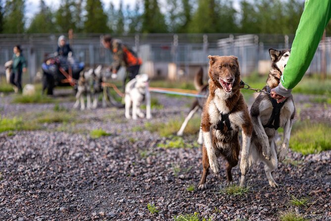 Private Kennel Visit and ATV Tour With the Huskies - Suitability and Accessibility