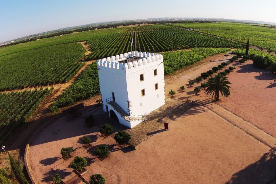 Private Luxury Wine & Food Tour in Alentejo - Savory Lunch Experience