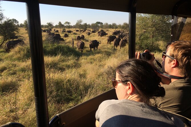 Private Morning Game Drive From Hazyview L Kruger National Park - Booking and Cancellation Policy