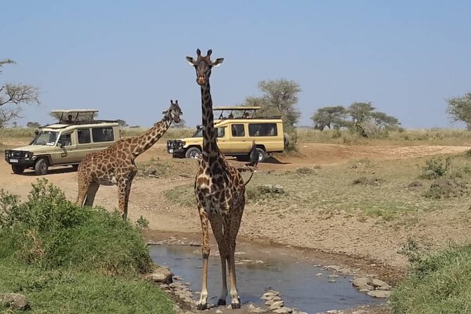 Private Multi Day Safari Tour in Tanzania - Physical Fitness Level