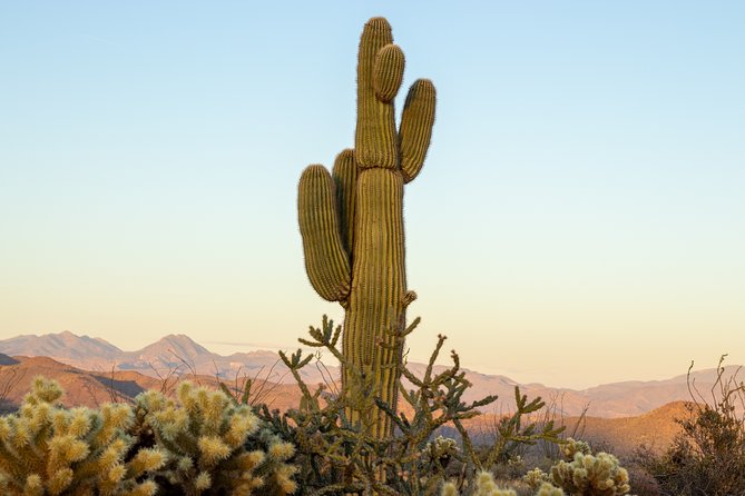 Private Scottsdale Off-Road Jeep Tour - Exploring Sonoran Deserts Landscapes