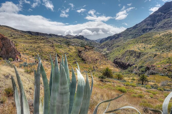 Private Shore Excursion in Gran Canaria the Miniature Continent - Group Size and Exclusivity