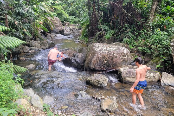 Rain Forest Waterfall Discovery With Natural Mud Bath - Transportation To and From