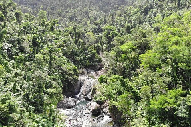 Rainforest River Nature Walk Adventure and Luquillo Beach - Tour Duration and Group Size