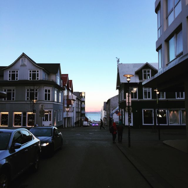 Reykjavik City - Half Day Private Tour - Frequently Asked Questions