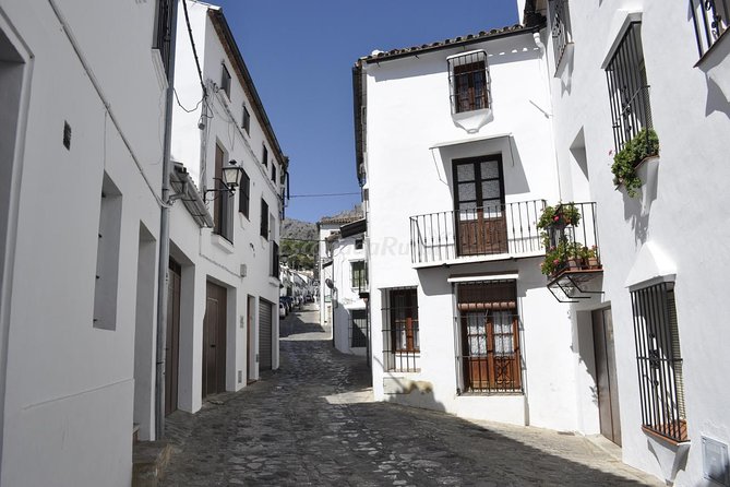 Ronda and White Villages Guided Day Tour From Seville - Logistics and Inclusions