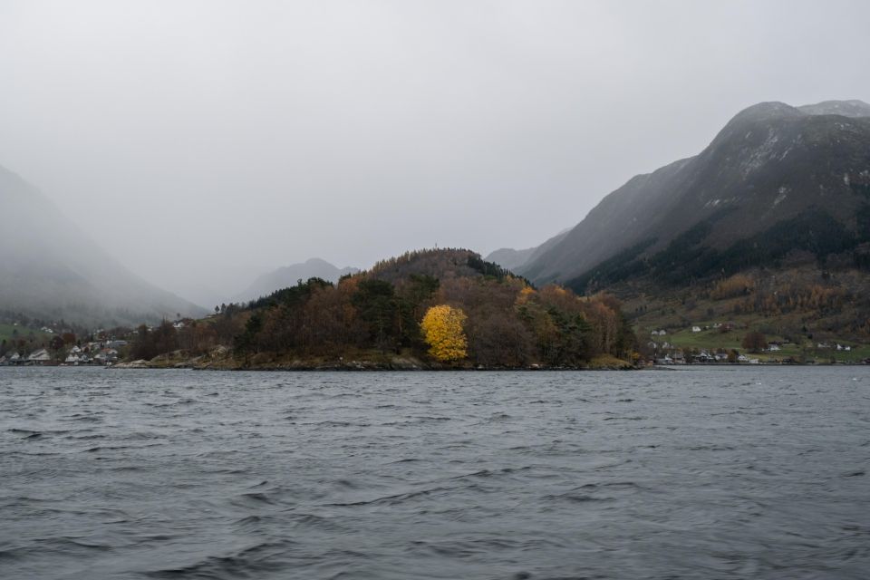 Rosendal Majesty: Exclusive RIB Adventure in Hardangerfjord - Fjord Landscapes