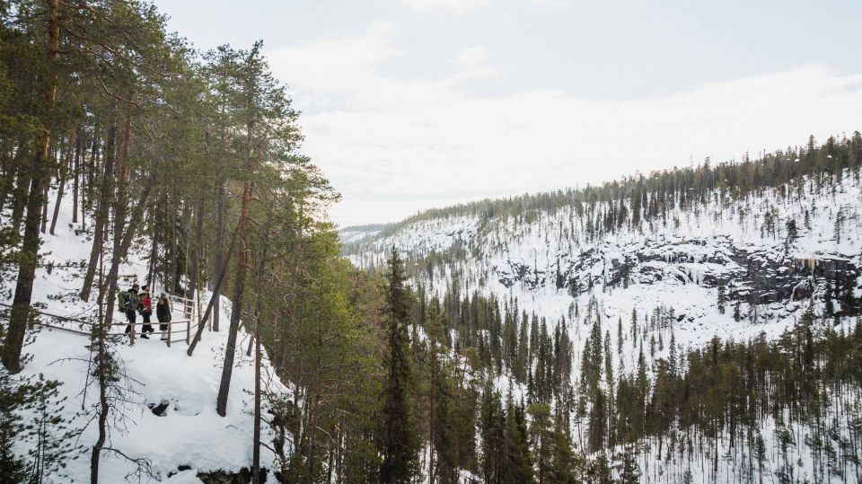 Rovaniemi: Frozen Waterfalls of Korouoma Canyon Hike - Important Information to Consider