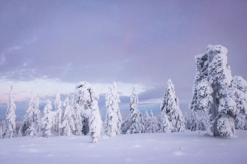 Rovaniemi: Snowmobile Adventure in Lapland - Snowmobile Safety