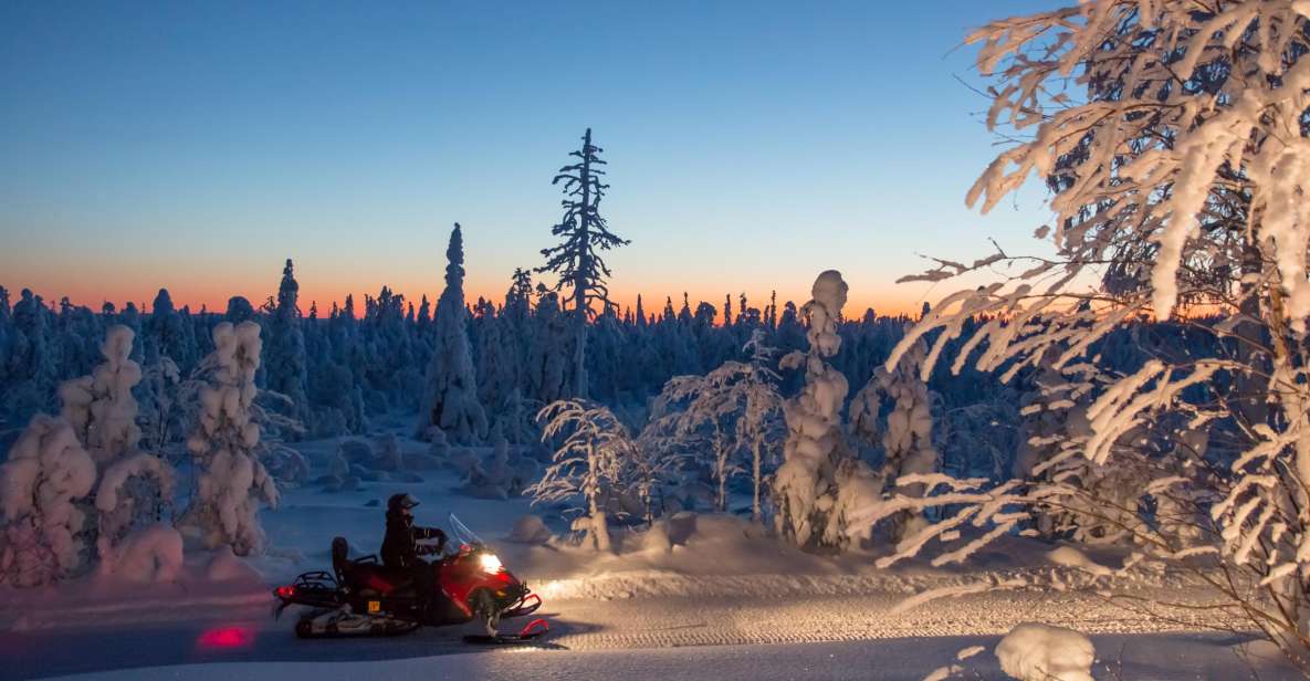 Rovaniemi: Snowmobile Safari & Campfire Evening Escape - Frequently Asked Questions