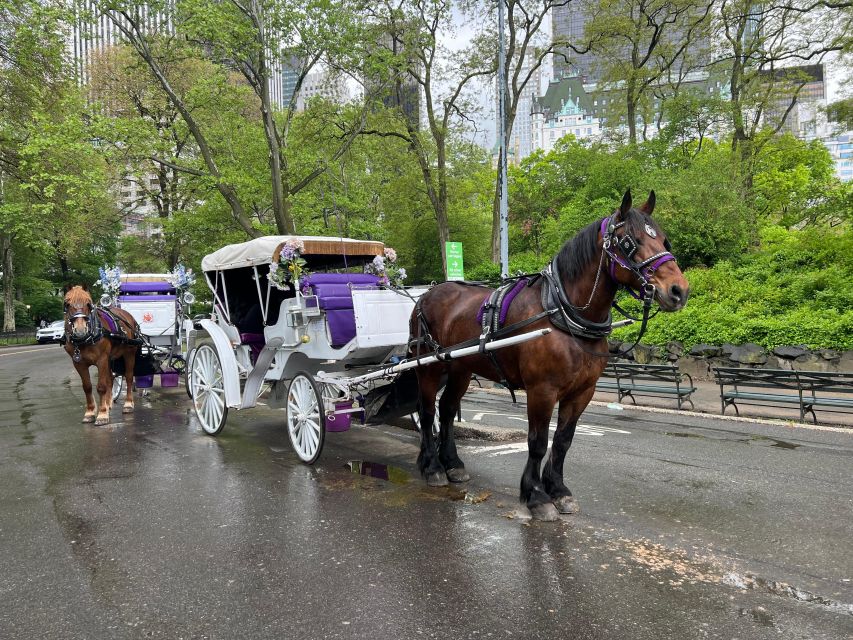 Royal Carriage Ride in Central Park NYC - Booking and Cancellation Policy