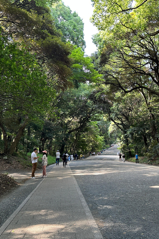 Sacred Morning Walk & Brunch-Meiji Shrine - Important Information for Participants