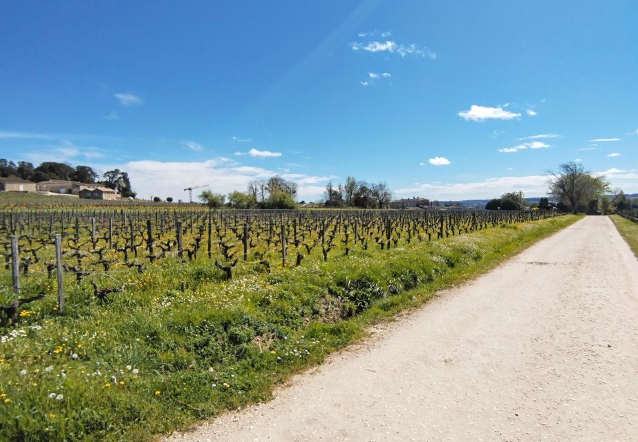 Saint-Émilion by Gravel Bike & Wine Tasting - 50 Km Adventure Experience