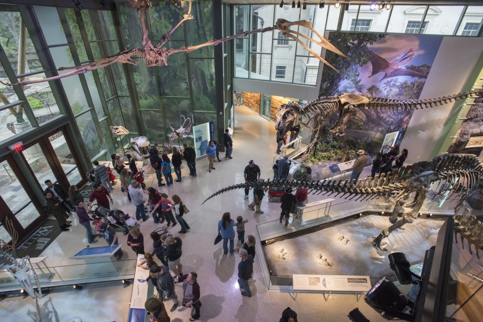 San Antonio: Witte Museum Admission Ticket - Location and Directions