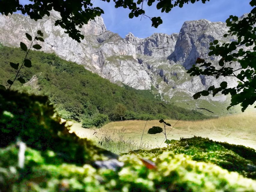 Santander: Picos, Santo Toribio Monastery and Potes Day Tour - Inclusions and Amenities