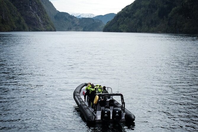 Scenic RIB Adventure to Hardangerfjord & Fyksesund From Øystese - Highlights and Sights